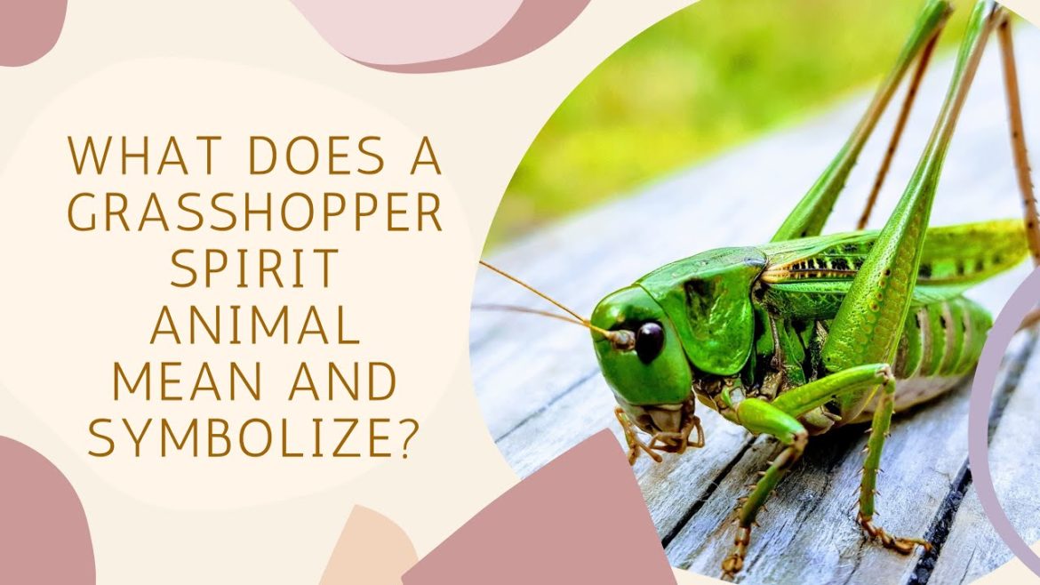 What Does A Grasshopper Spirit Animal Mean And Symbolize?