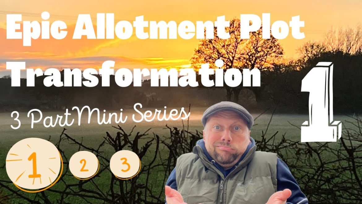 Allotment Gardening For Beginners #63 @YouTube #500subs