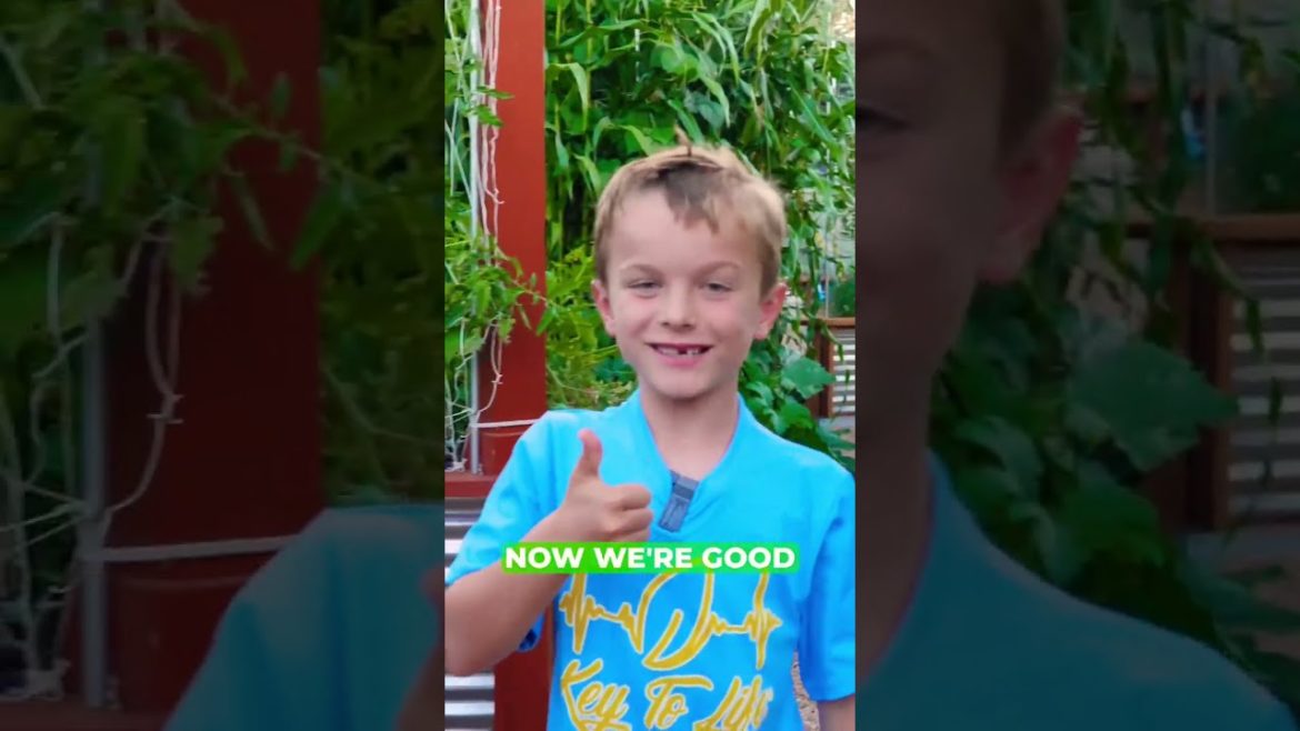 Teegan explains the importance of a trellis for indeterminate tomato plants 🍅☀️ #indeterminate