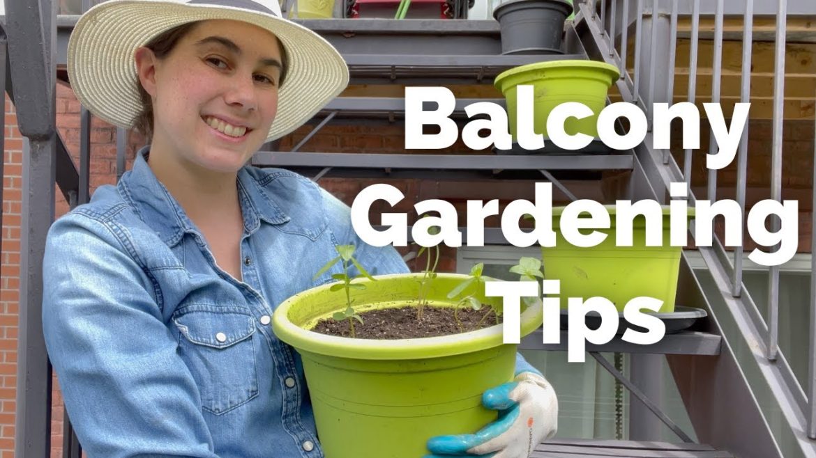 5 Balcony Garden Tips for Beginners | Gardening Series 2022 | Episode 8 #balconygardening 5 Balcony Garden Tips for Beginners | Gardening Series 2022 | Episode 8 #balconygardening