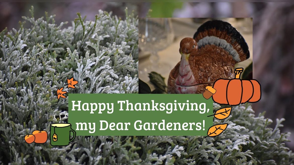 Happy Thanksgiving, my dear gardeners!