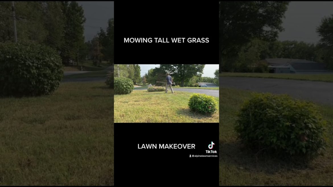 MOWING TALL WET GRASS! REALLY MISSING SPRING 😪 #lawncare #landscape MOWING TALL WET GRASS! REALLY MISSING SPRING 😪 #lawncare #landscape