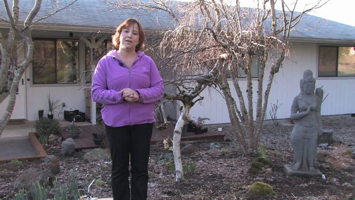 Gardening Tips : Different Types of Landscape Plants