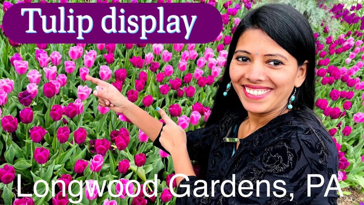 Tulip and Spring Display | Longwood Gardens | Kennett Square, PA| Backyard Garden Highlights Tulip and Spring Display | Longwood Gardens | Kennett Square, PA| Backyard Garden Highlights