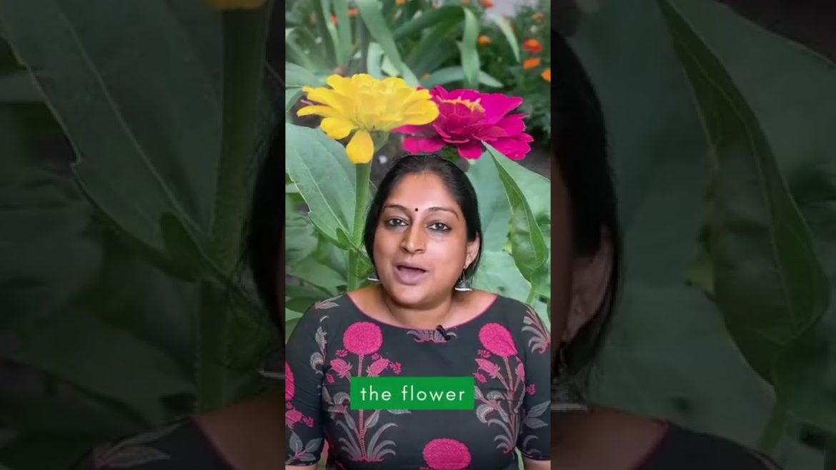 5 Gardening Tips for Young Plants to Get More Blooms and Grow Stronger Plants #shorts #gardening 5 Gardening Tips for Young Plants to Get More Blooms and Grow Stronger Plants #shorts #gardening
