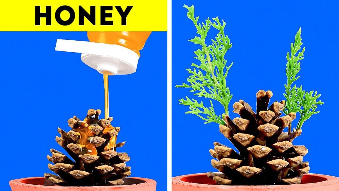 Unexpected Plant Growing And Gardening Hacks You Shouldn't Miss Unexpected Plant Growing And Gardening Hacks You Shouldn't Miss