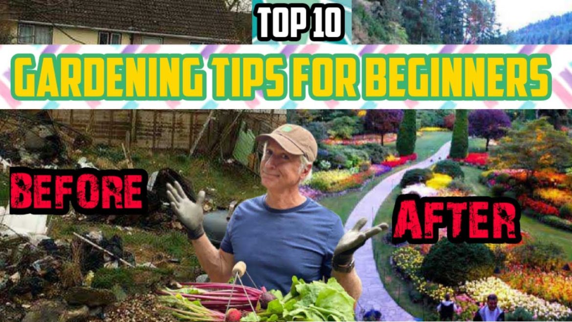 Top 10 Gardening Tips for Beginners | Mel's Beautiful Garden Top 10 Gardening Tips for Beginners | Mel's Beautiful Garden