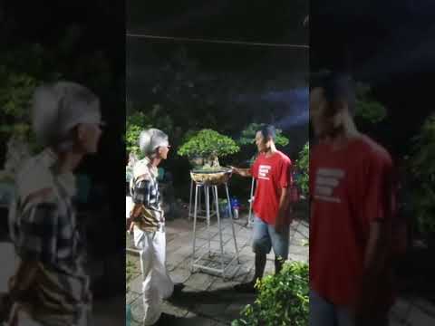 Chơi lớn luôn | Gã Đầu Bạc – Vua Tùng Chơi lớn luôn | Gã Đầu Bạc - Vua Tùng