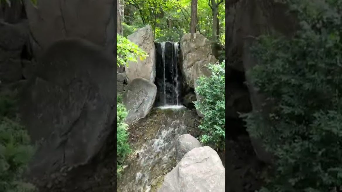 Nishinomiya Tsutakawa Japanese Garden at Manito Park #shorts