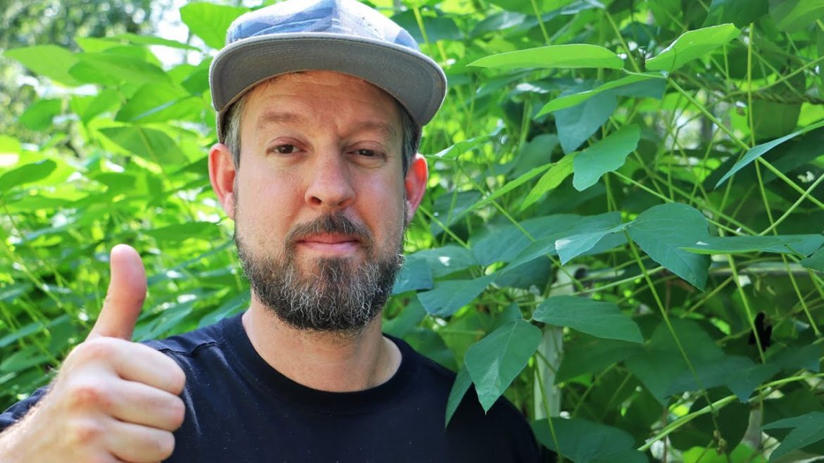 The Secret to CRAZY EASY Florida Gardening (That No One Is Telling You) The Secret to CRAZY EASY Florida Gardening (That No One Is Telling You)