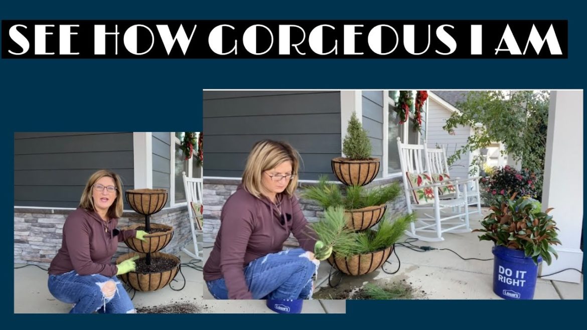 Container Gardening with Fresh Greens for Winter Interest 🎄🎄🎄
