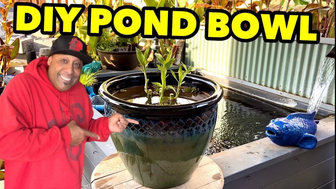 MY FIRST DIY MINI POND BOWL!