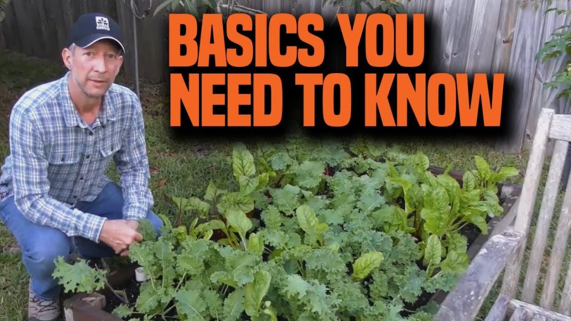 Fall Season Vegetable Gardening in Northeast Florida