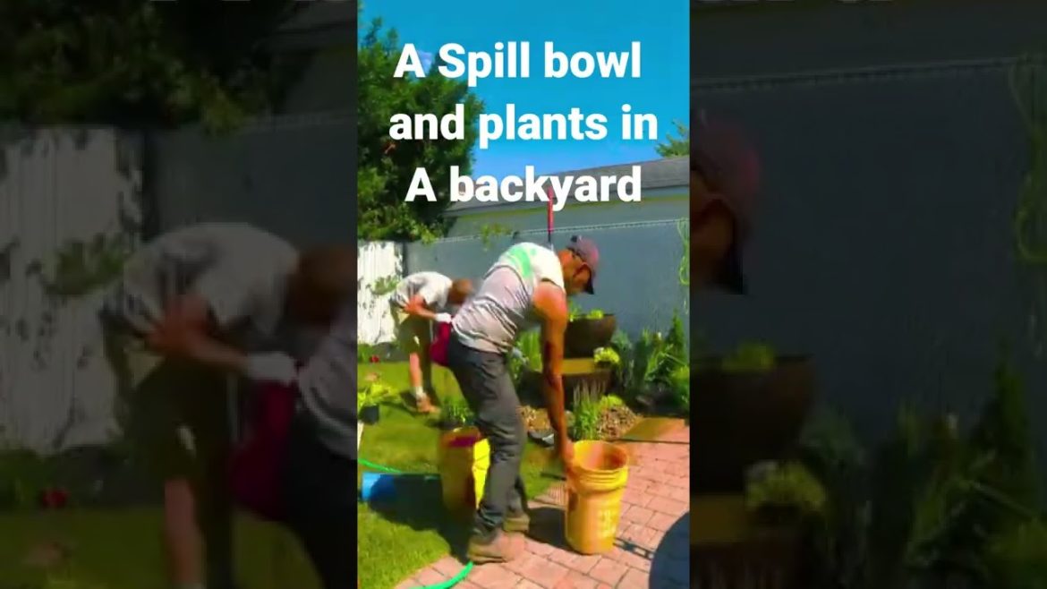 We installed A Spill Bowl Water Feature in the garden We installed A Spill Bowl Water Feature in the garden