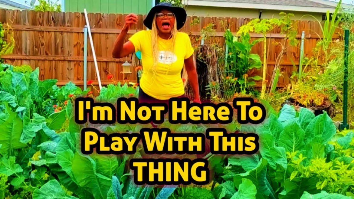 I'm Not Here To Play with This THING ‼️ I'm Not Here To Play with This THING ‼️