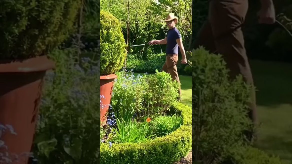 A Year in the Garden: AmazingTips & Ideas for the Perfect Garden #gardening #courtyardgarden