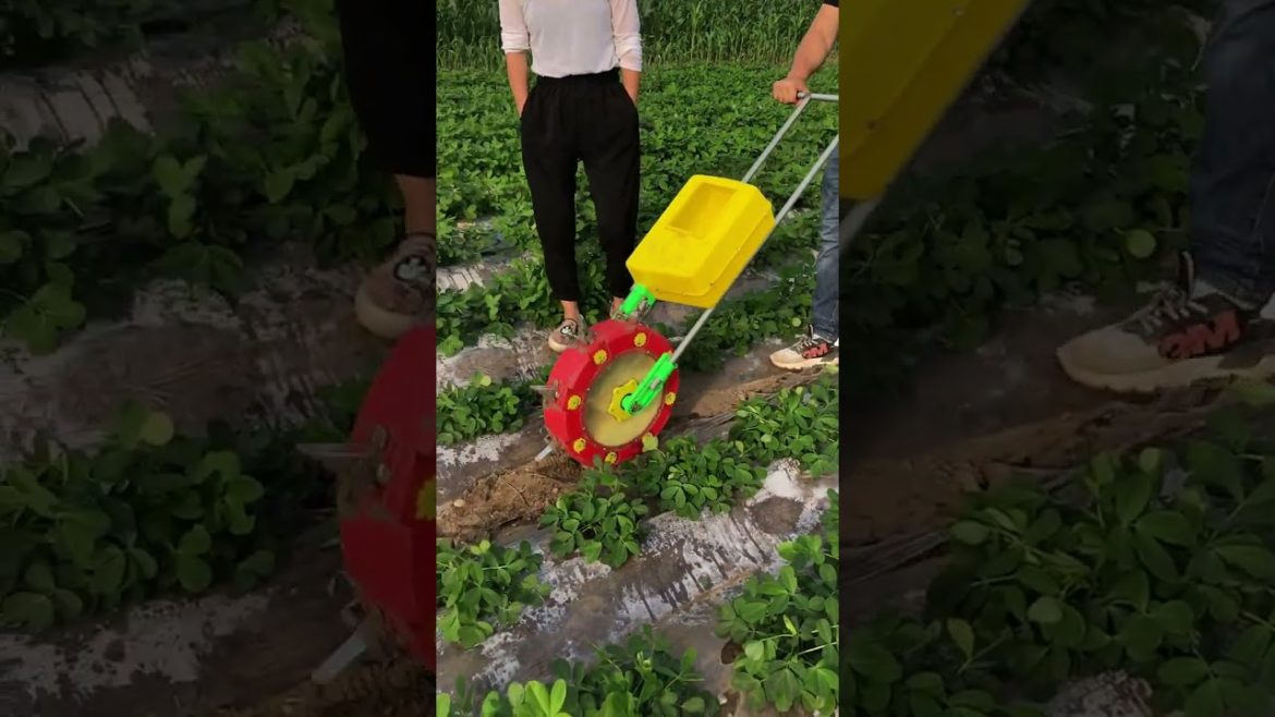 Amazing Creativity idea 603