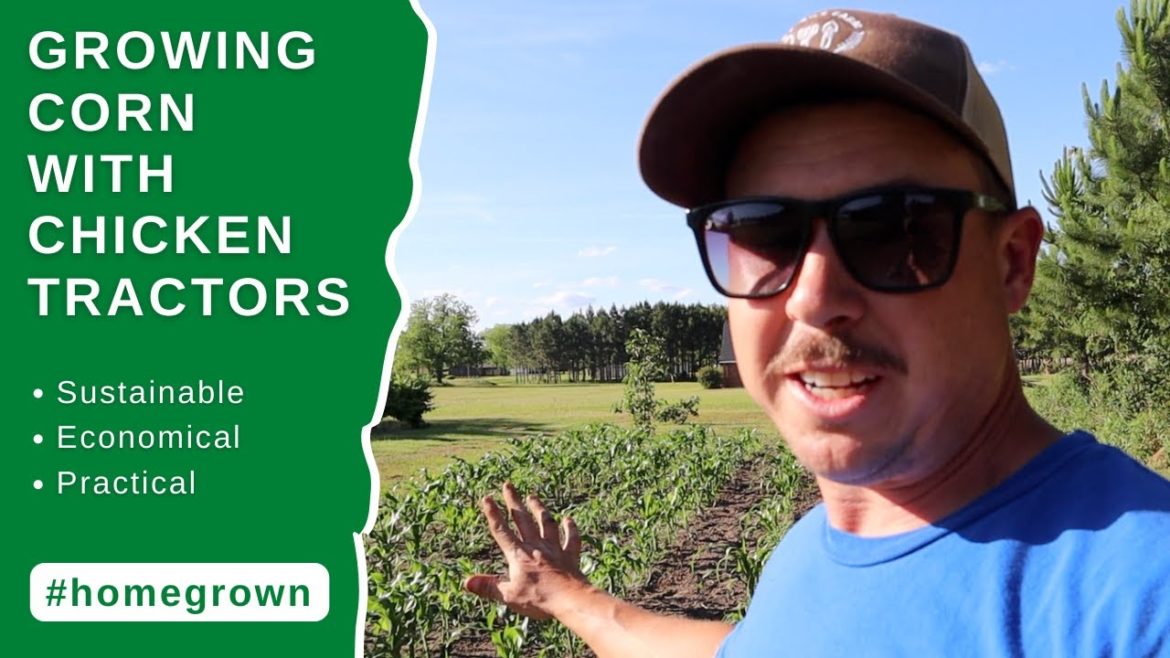 The Only Way We'll Ever Grow Corn Again | Full Backyard Garden Tour!