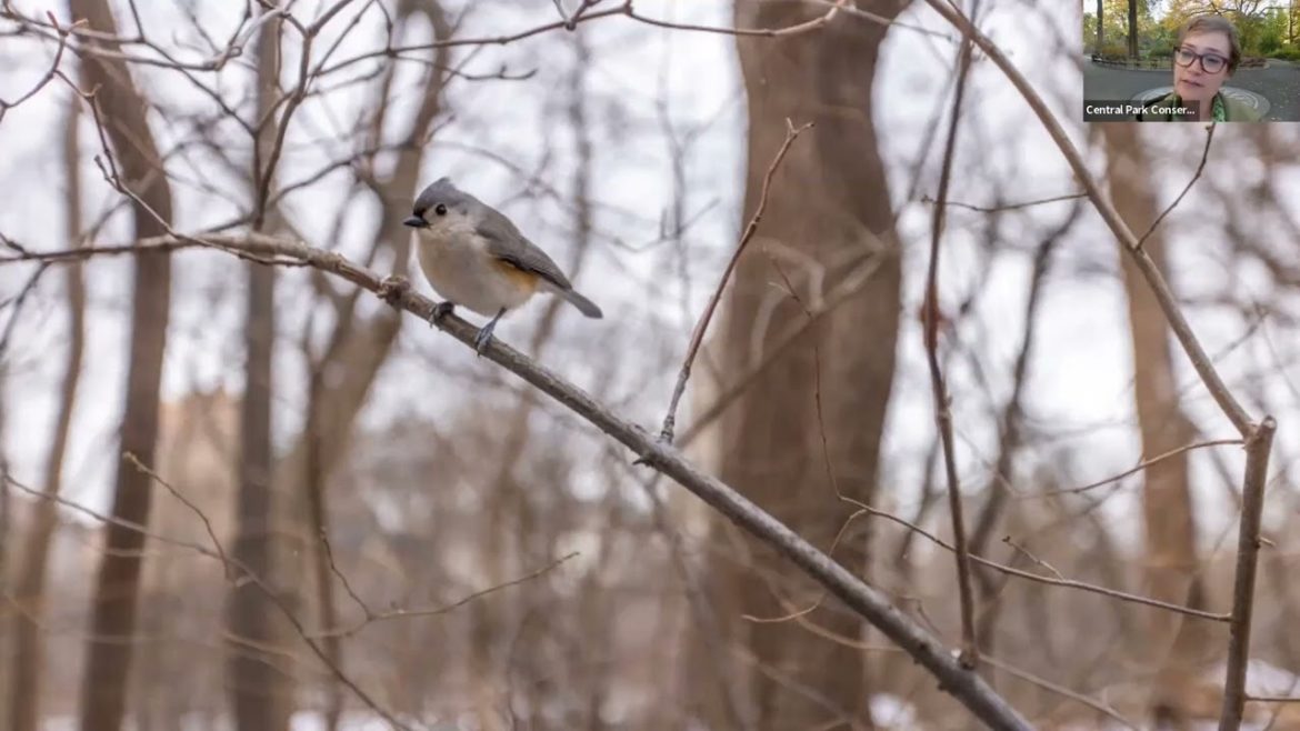 Weekly Walk: Preparing for Winter