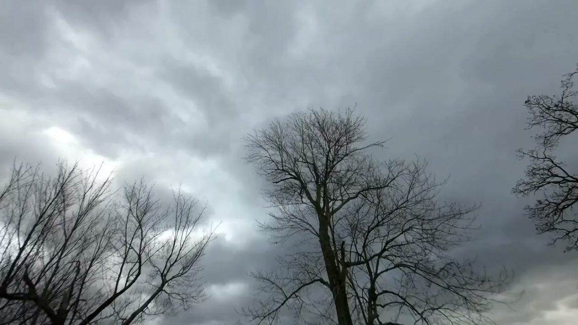 DJI Avata Cinematic FPV