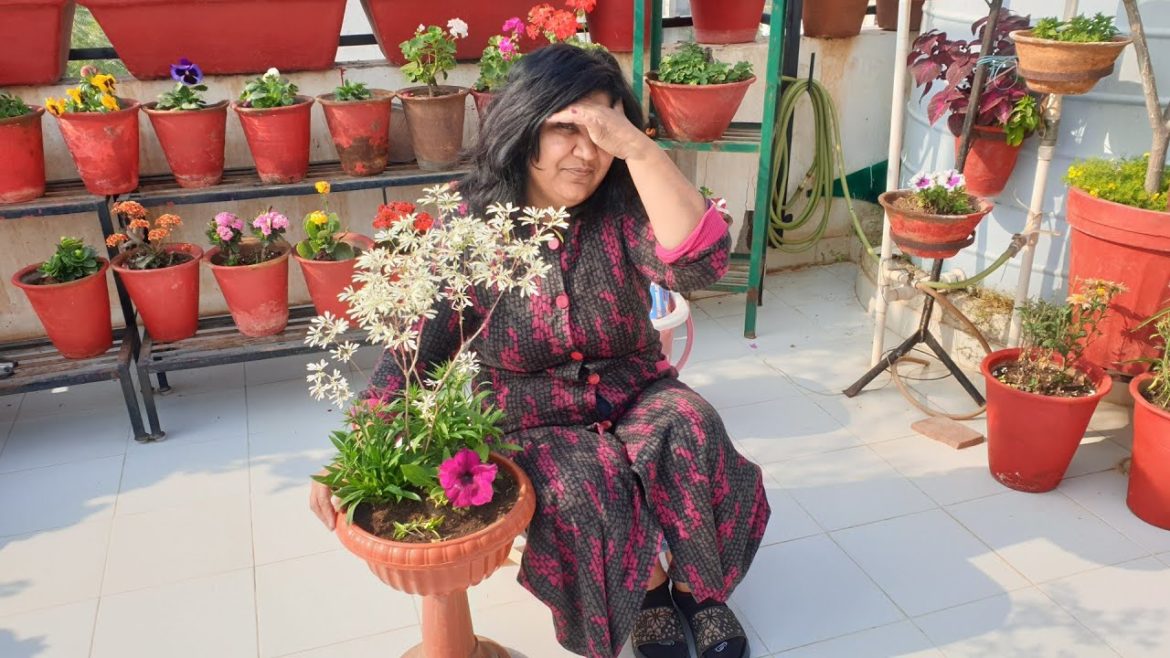 My Container Garden - How I Made My Container Garden