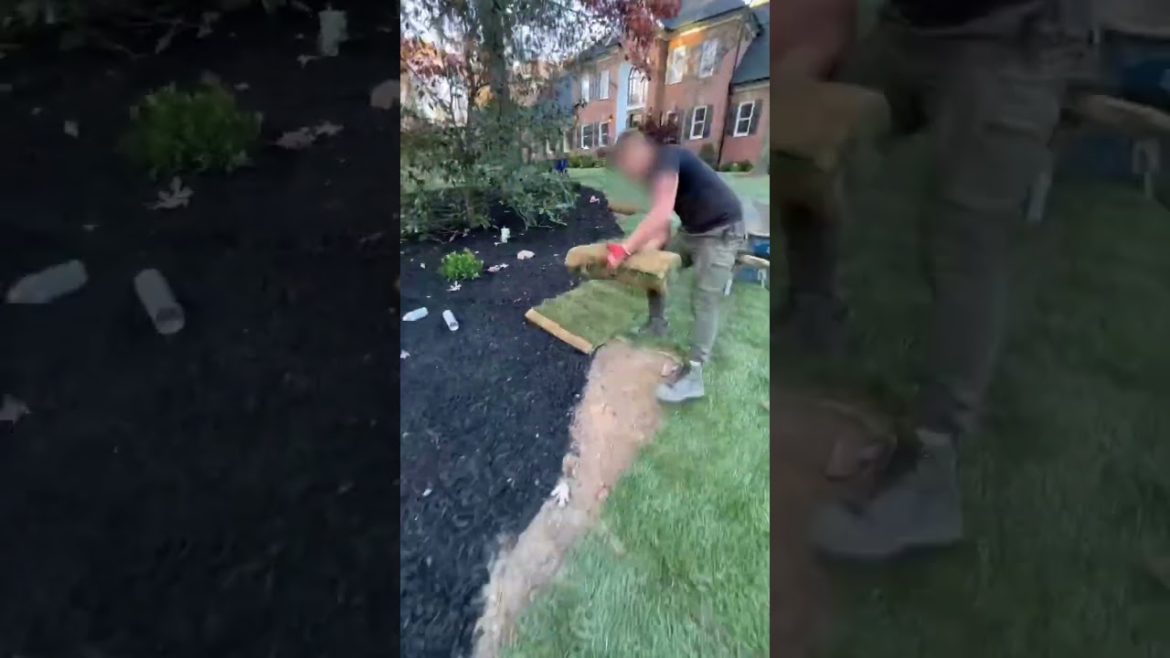 Rolling down & cutting those last sod pieces🔥 Rolling down & cutting those last sod pieces🔥