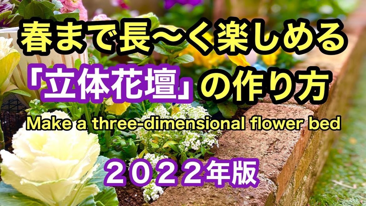 冬でも楽しめる球根の忍ばせ方・高低差を活かした植栽・ダイソーアイテムの活用など、立体的なレイアウトで楽しい花壇を作る動画です。#ガーデニング #japanesegardening #花壇 冬でも楽しめる球根の忍ばせ方・高低差を活かした植栽・ダイソーアイテムの活用など、立体的なレイアウトで楽しい花壇を作る動画です。#ガーデニング #japanesegardening #花壇