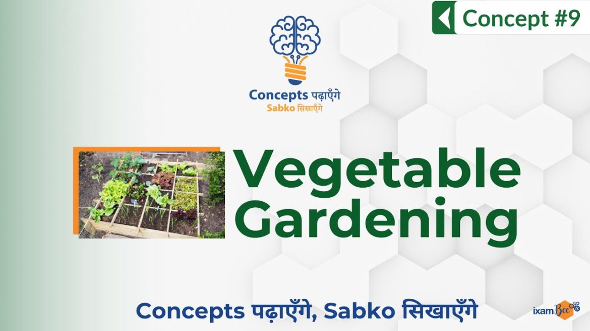 Concepts पढ़ाएँगे, Sabko सिखाएँगे | Concept 9 | Vegetable Gardening
