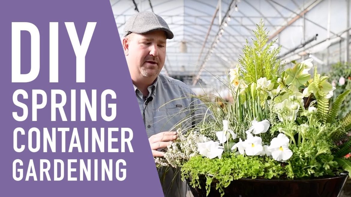 Early Spring Container Gardening 🌸 || West Coast Gardens