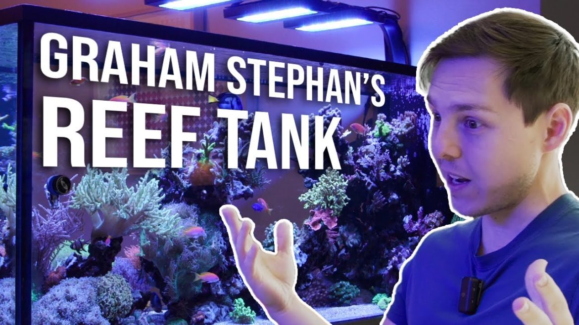 Visiting Graham Stephan's Home Reef Aquarium Visiting Graham Stephan's Home Reef Aquarium