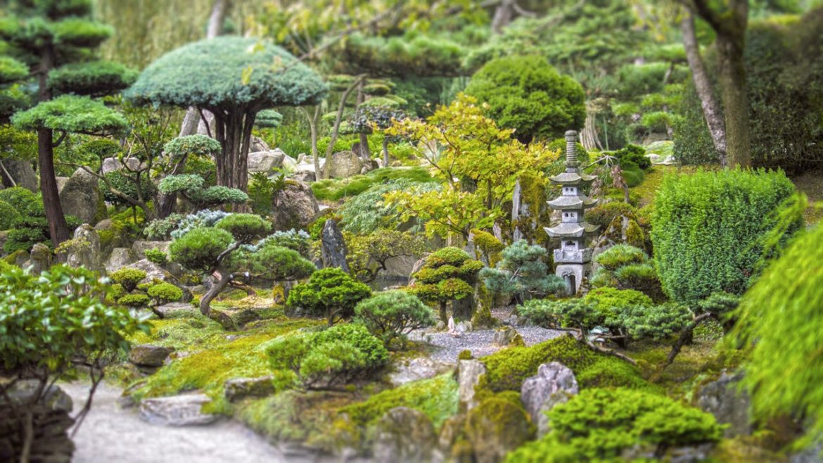 JAPANESE GARDEN • 10H Calming Nature Sounds • Ft. Shishi-Odoshi JAPANESE GARDEN • 10H Calming Nature Sounds • Ft. Shishi-Odoshi