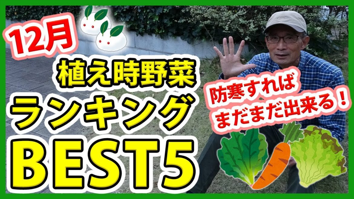 家庭菜園や農園栽培で12月植え付けおすすめ野菜ランキングBEST5!食料貯蔵できる野菜が続々登場!【農家直伝】/Recommended vegetables to plant in December. 家庭菜園や農園栽培で12月植え付けおすすめ野菜ランキングBEST5!食料貯蔵できる野菜が続々登場!【農家直伝】/Recommended vegetables to plant in December.