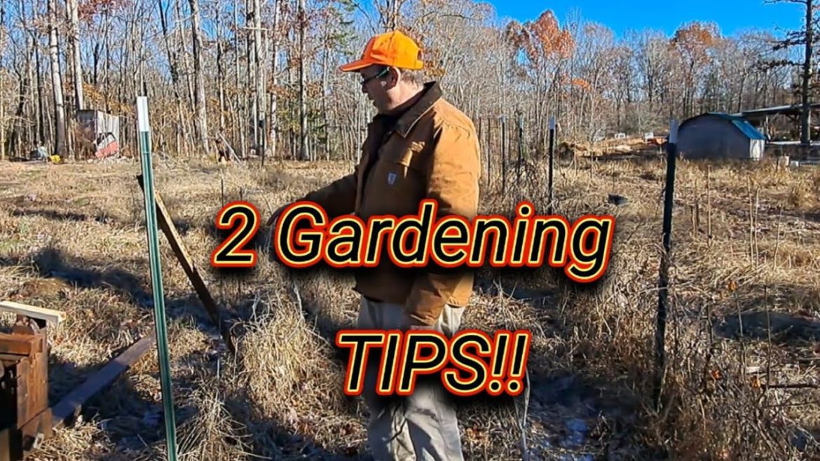 Gardening Tips (2 TIPS) #gardening#gardeningtips