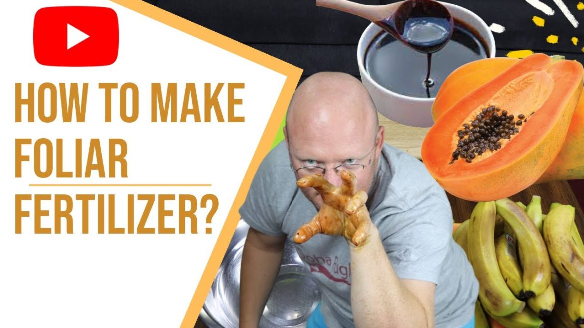 HOW  AND WHAT IS FOLIAR FERTILIZER? GARDEN TIPS