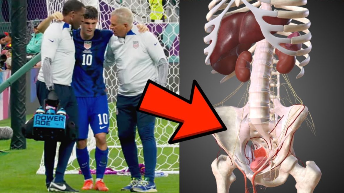 Christian Pulisic PAINFUL Groin Blow – Doctor Explains World Cup Injury Christian Pulisic PAINFUL Groin Blow - Doctor Explains World Cup Injury