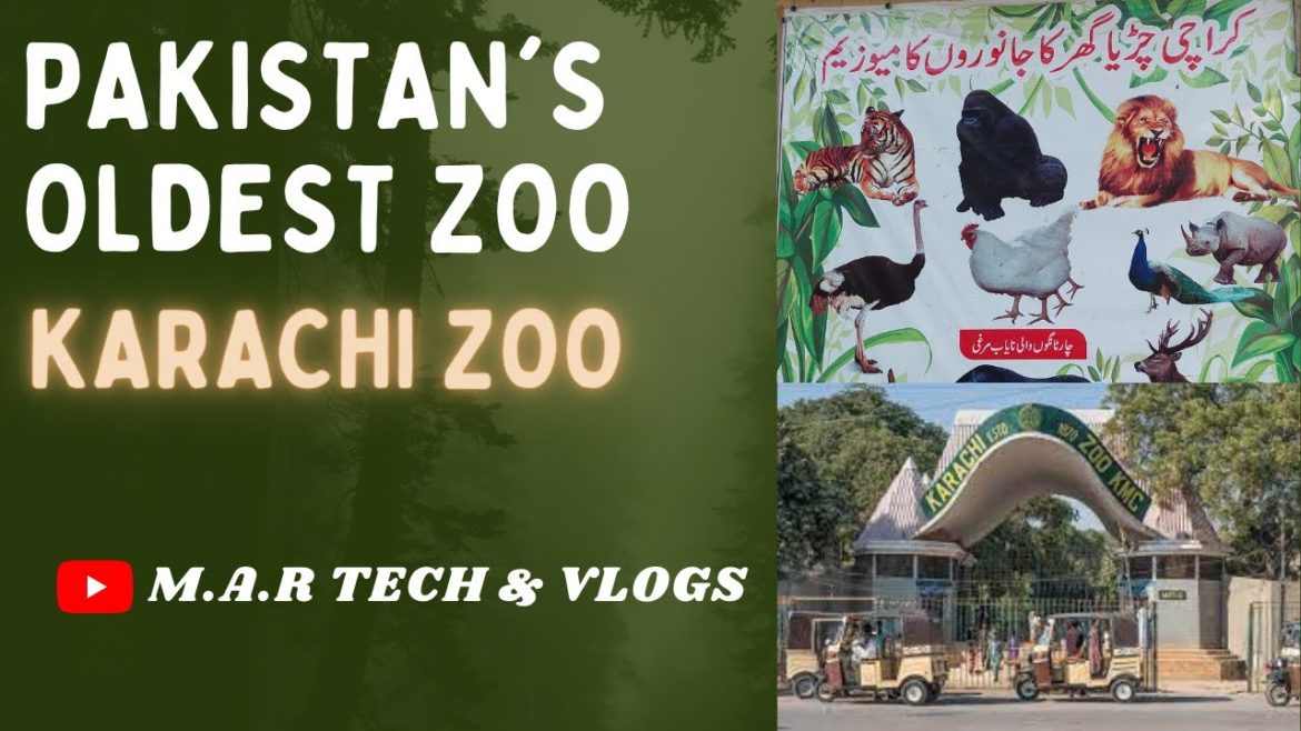 Visit of Karachi Zoo | Zoological & Botanical Garden 2022 Visit of Karachi Zoo | Zoological & Botanical Garden 2022