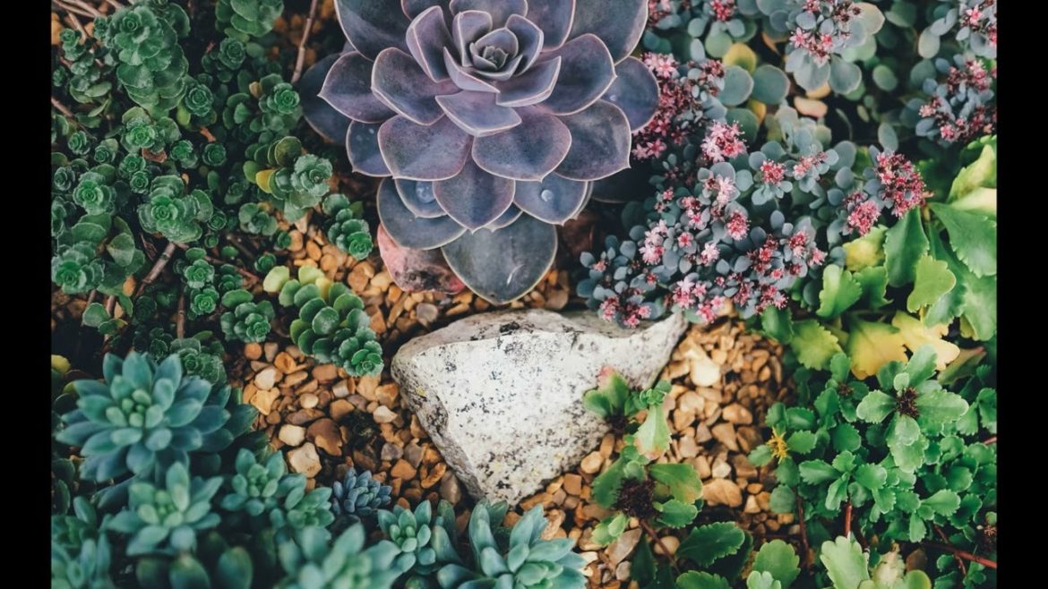 Landscape Desing ideas Best ideas for  garden and landscape #5654 #shorts 7