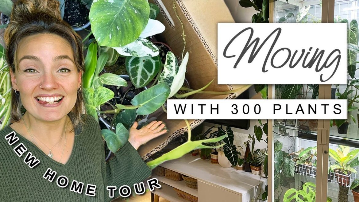 Moving House With 300 Houseplants 🌿📦 New Home Tour + Moving Vlog Moving House With 300 Houseplants 🌿📦 New Home Tour + Moving Vlog