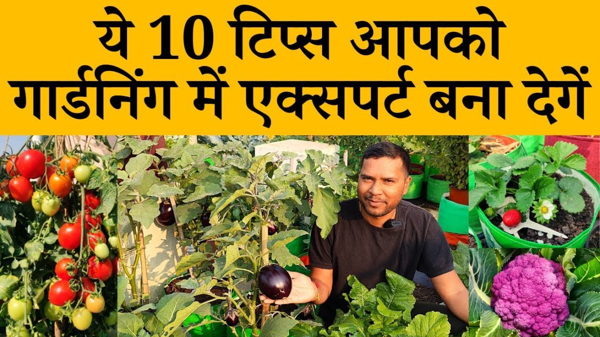 ये 10 टिप्स आपको गार्डनिंग में एक्सपर्ट बना देगें | 10 Tips For Successful Home Gardening in Hindi