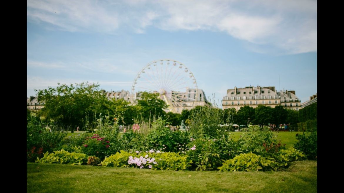 Landscape Desing ideas Best ideas for  garden and landscape #5654 #shorts 8