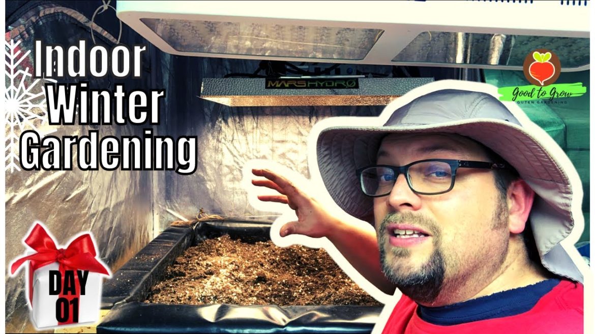 Indoor Winter Gardening: What You Need to Know (and 31 Days of Giving DAY 01 WINNER!)