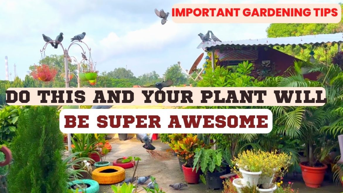Important Tips to Start Gardening | Secret of  Healthy Plant Gardening |