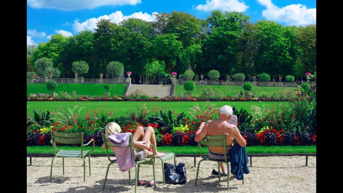 Landscape Desing ideas Best ideas for  garden and landscape #5654 #shorts 10