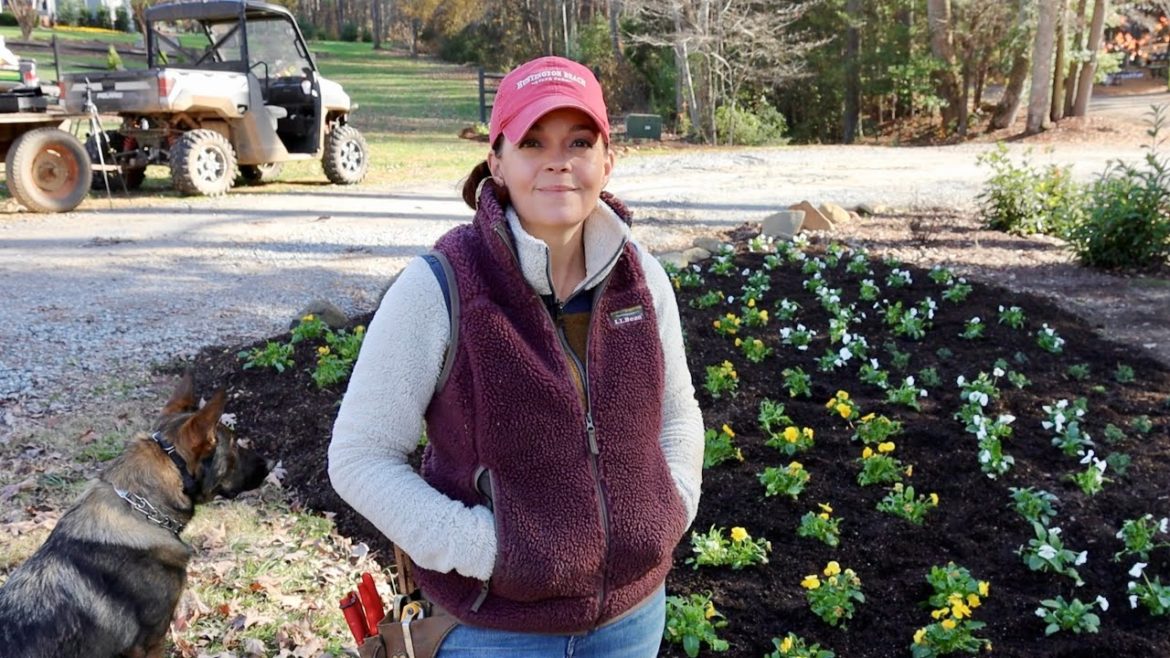 Making a Winter Garden Statement | Gardening with Creekside