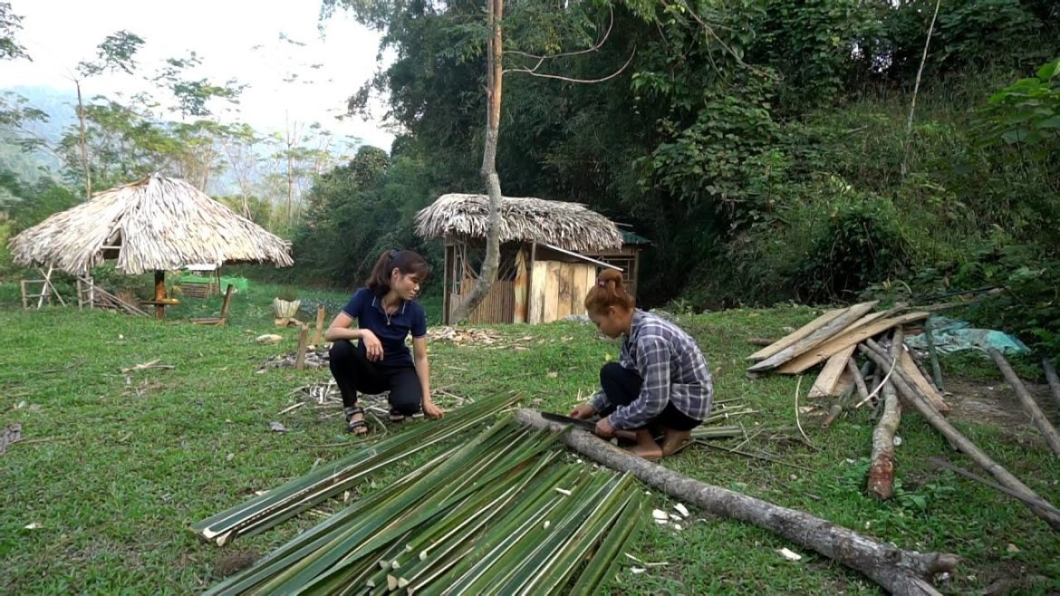 How is my vegetable garden after 30 days of care – Welcome Hien's sister to visit the farm How is my vegetable garden after 30 days of care - Welcome Hien's sister to visit the farm