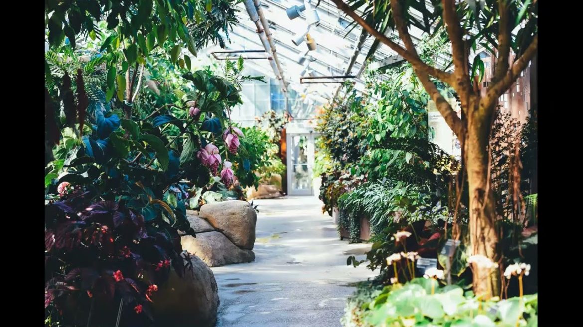 Landscape Desing ideas Best ideas for  garden and landscape #5654 #shorts 12