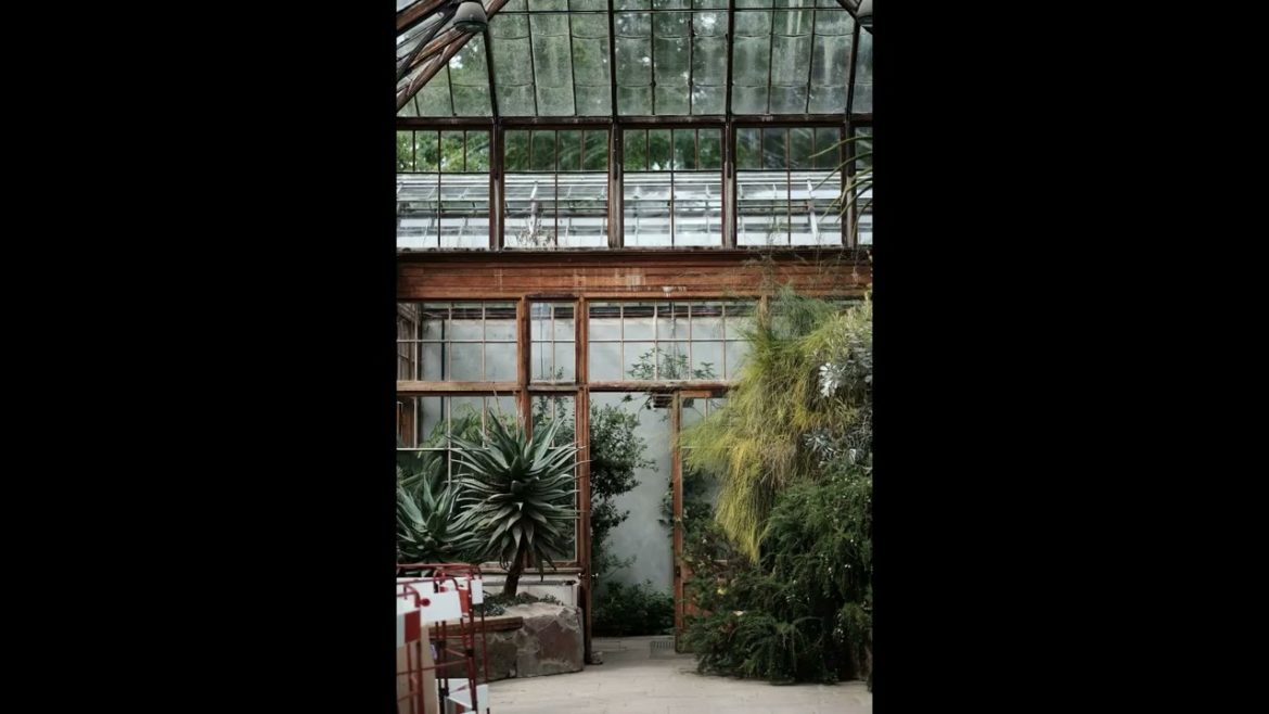 Landscape Desing ideas Best ideas for  garden and landscape #5654 #shorts 11