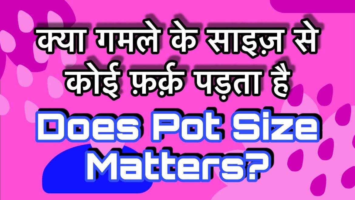 Does Container Size Matters in Kitchen Gardening || Proper Size of Grow Bags for growing Vegetables