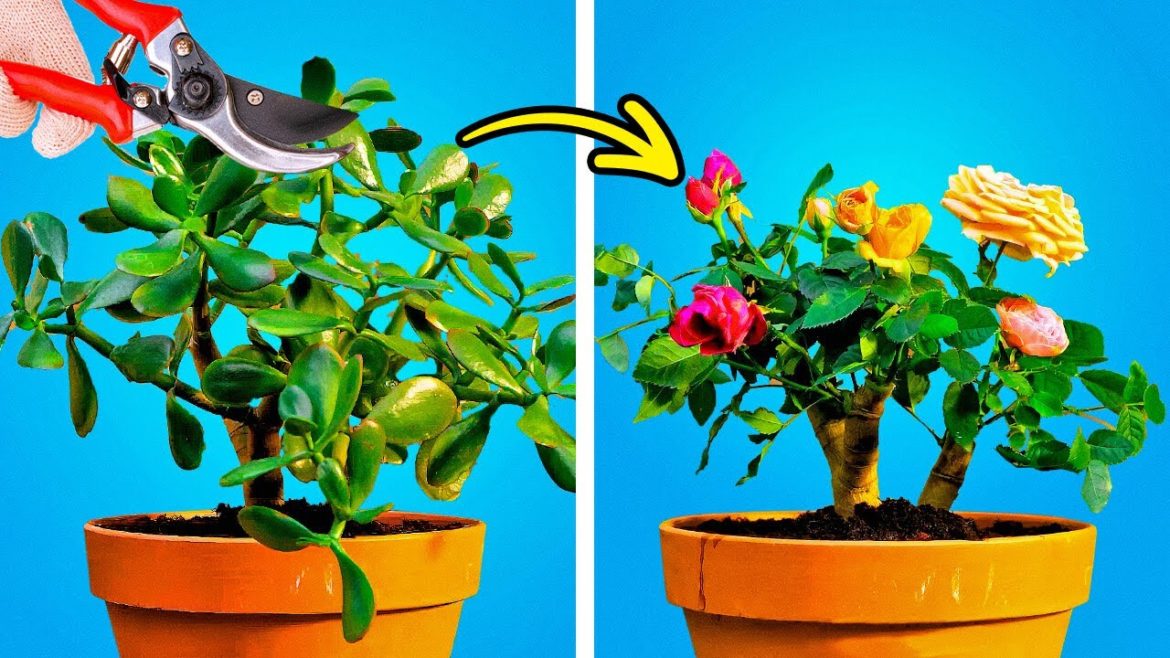 How to Grow Any Plants At Home || Gardening Hacks That Will Surprise You