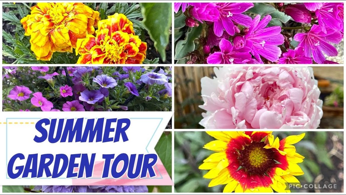 Our FIRST Summer Garden Tour || Garden Tips